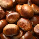 Chestnut Trees Chestnut Trees