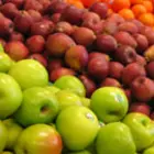 Fruit Trees Fruit Trees