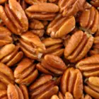 Pecan Trees Pecan Trees