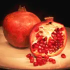 Pomegranate Trees Pomegranate Trees