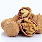 Walnut Trees Walnut Trees