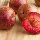 Interspecific Fruit Trees Interspecific Fruit Trees
