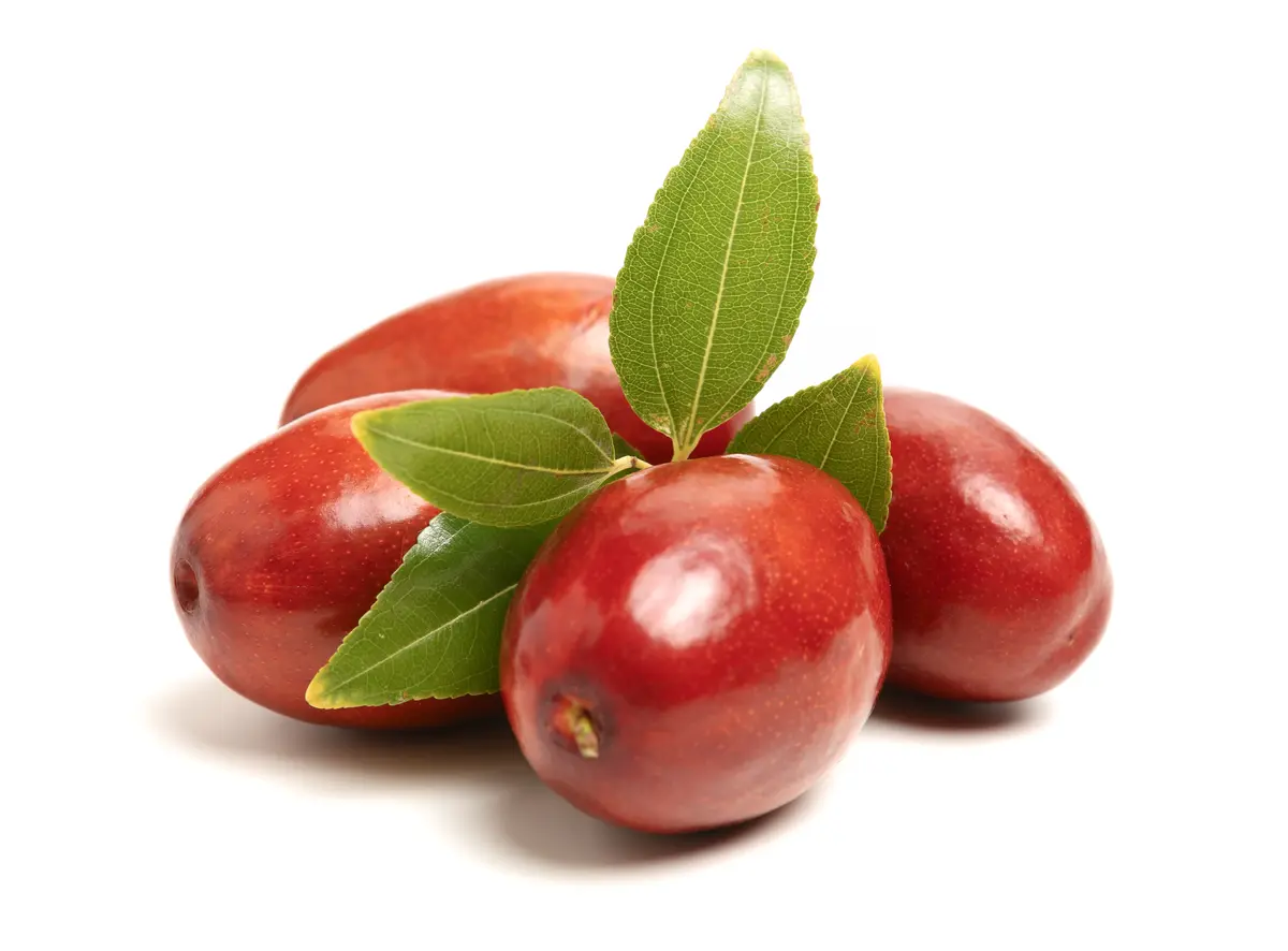 GA 866 Jujube Tree