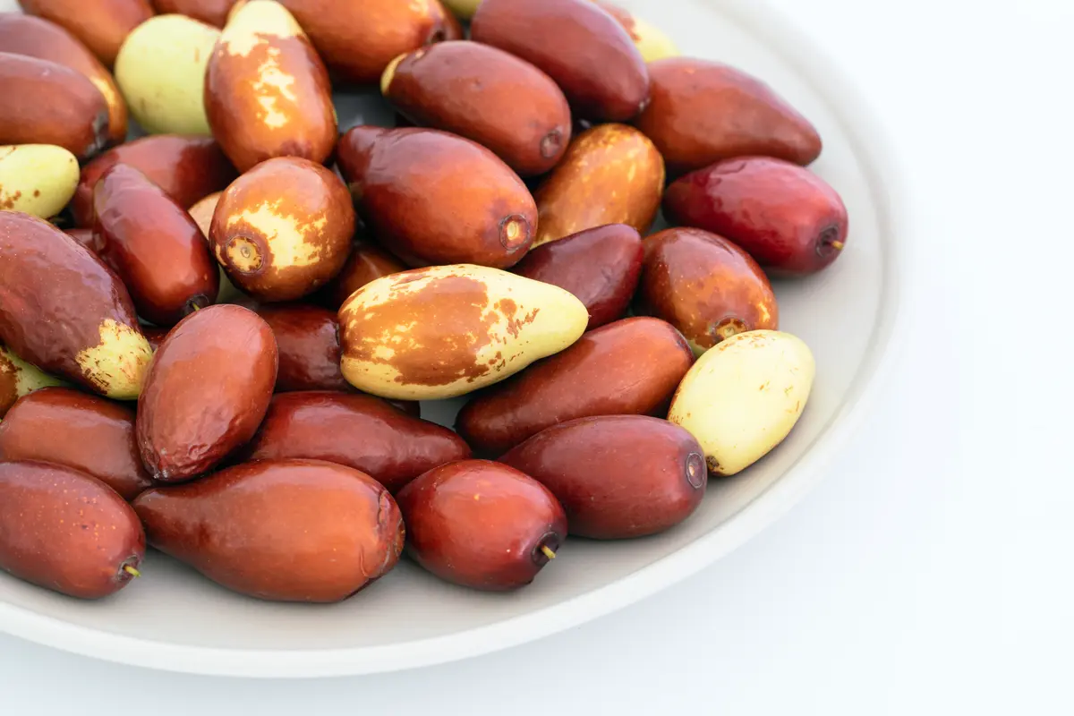 GA 866 Jujube Tree