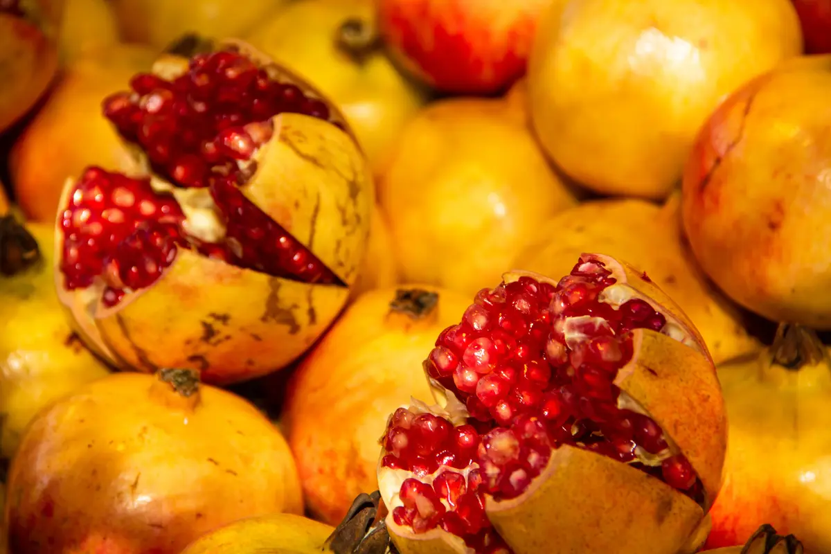 Kazake Pomegranate Tree Kazake Pomegranate Tree