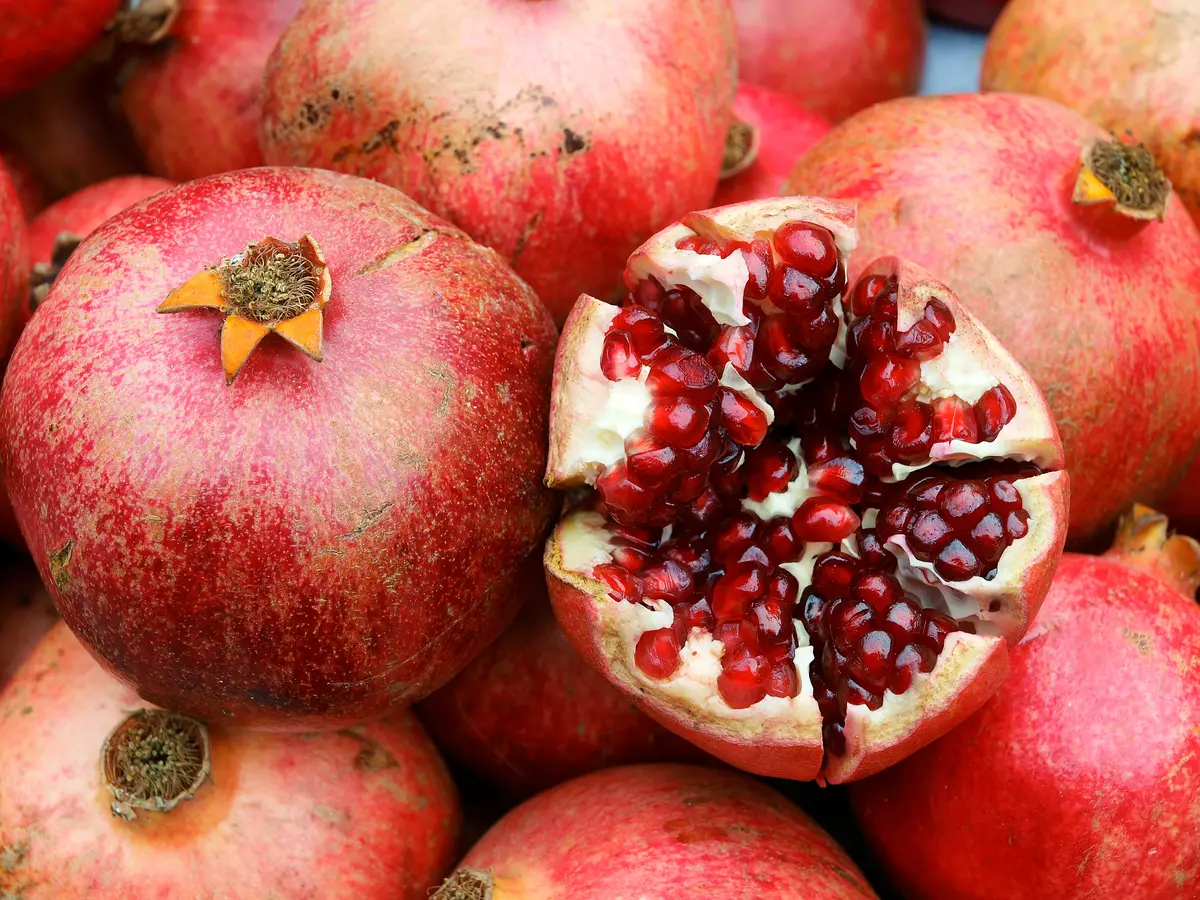 Nikitski Ranni Pomegranate Tree Nikitski Ranni Pomegranate Tree