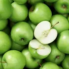 Granny Smith Apple Tree