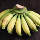 Lady Finger Banana Plant