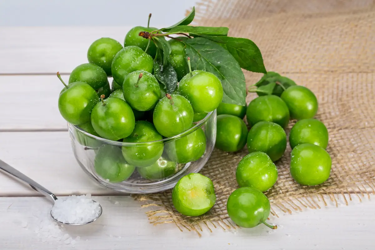 Persian Green Plum Persian Green Plum