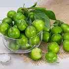 Persian Green Plum