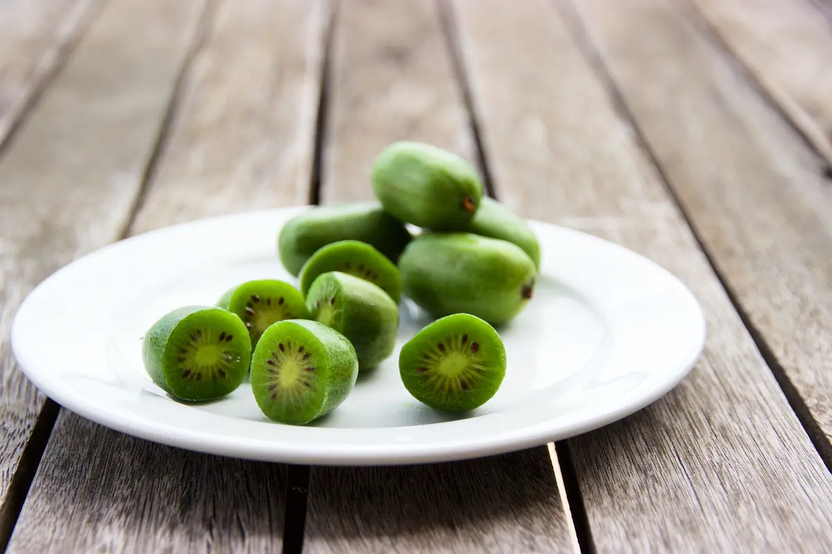 Cordifolia Hardy Kiwi Cordifolia Hardy Kiwi