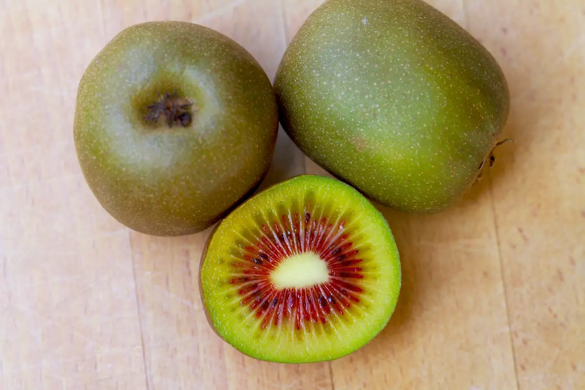 Prolific Kiwi Prolific Kiwi