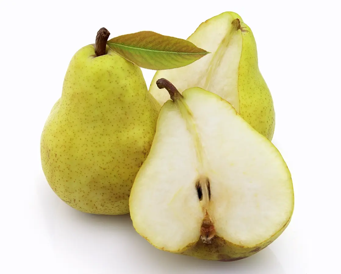 Beurre D'Anjou Pear Beurre D'Anjou Pear