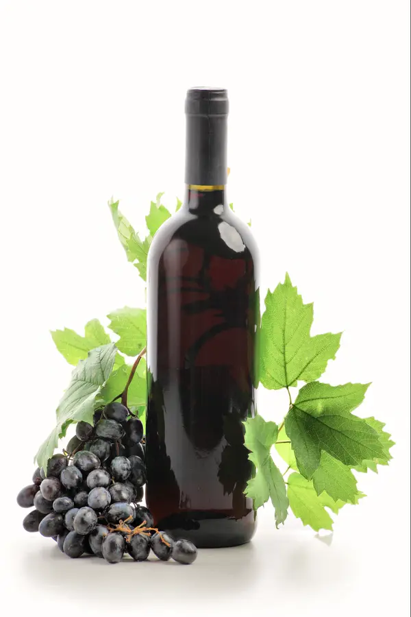 Lomanto Grape Vine Lomanto Grape Vine