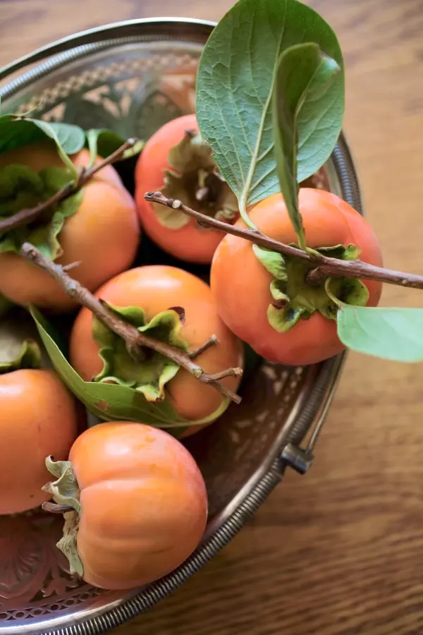 Izu Persimmon Tree Izu Persimmon Tree