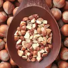 Yamhill Hazelnut
