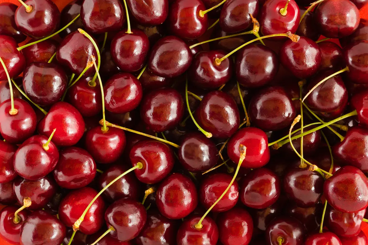4-in-1 Combo Sweet Cherry Tree 4-in-1 Combo Sweet Cherry Tree