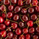 4-in-1 Combo Sweet Cherry Tree