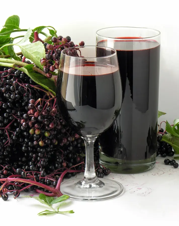American Elderberry