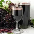 American Elderberry