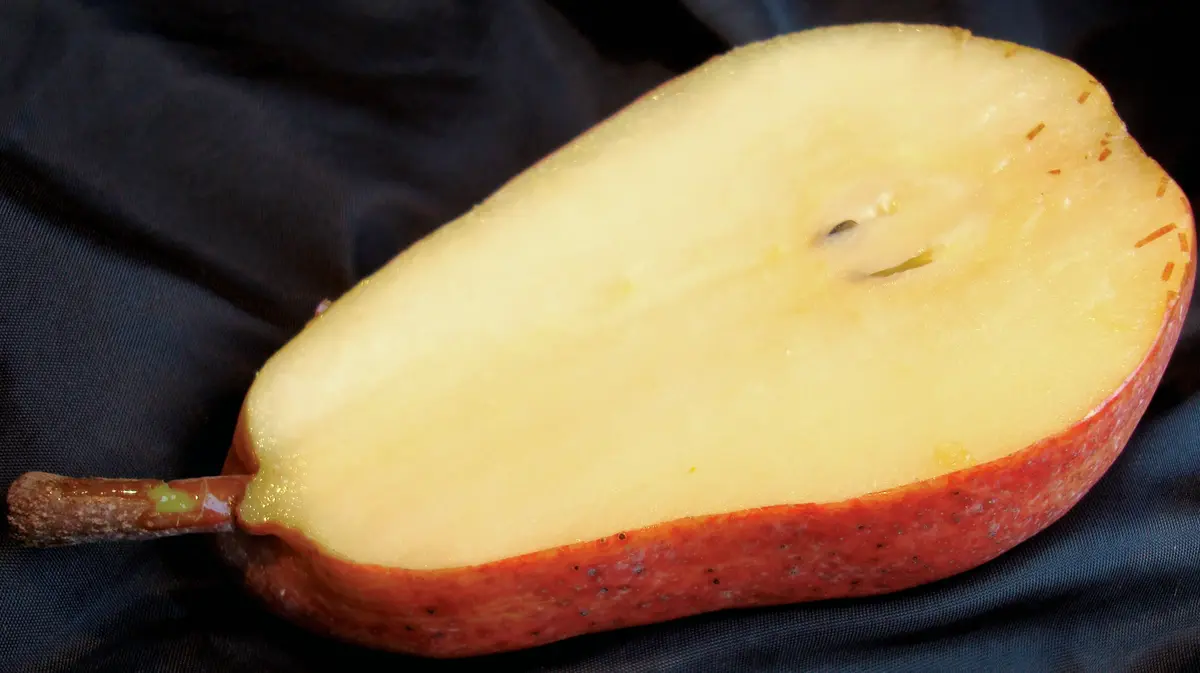 Pineapple Pear Tree