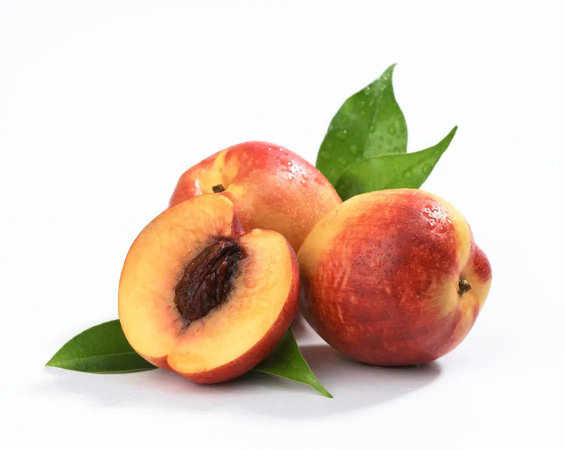 Fantasia Nectarine Tree Fantasia Nectarine Tree