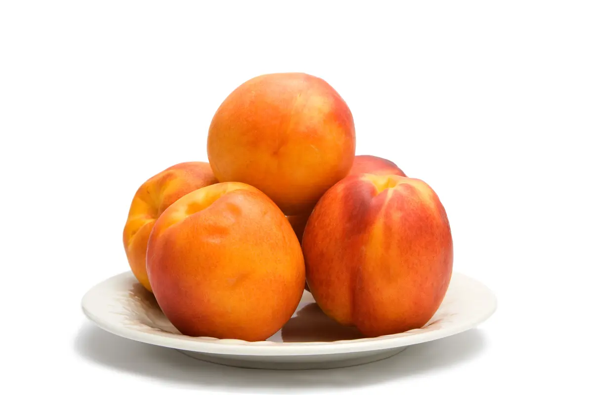 Goldmine Nectarine Tree Goldmine Nectarine Tree