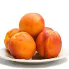 Goldmine Nectarine Tree