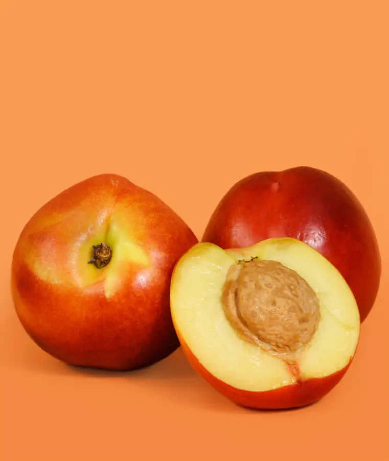 Goldmine Nectarine Tree Goldmine Nectarine Tree
