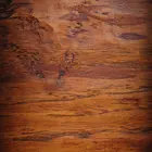 Pecan (Native Hardy Seedling)