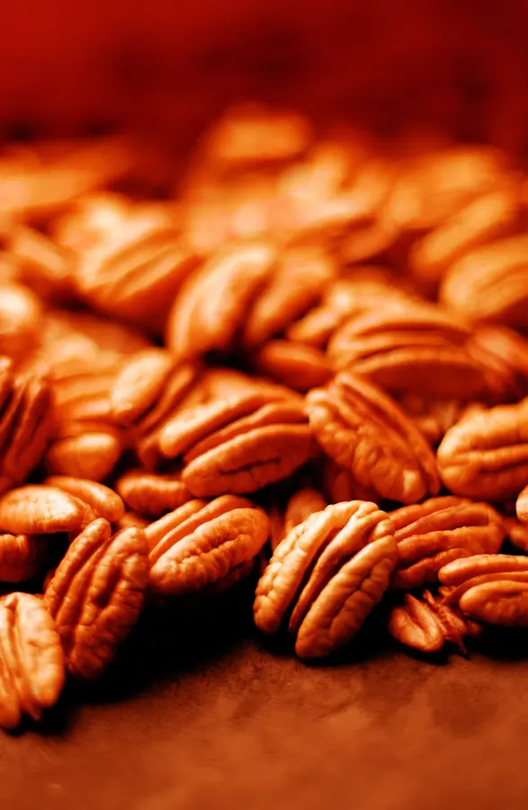Pecan (Native Hardy Seedling) Pecan (Native Hardy Seedling)
