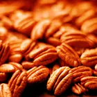 Pecan (Native Hardy Seedling)