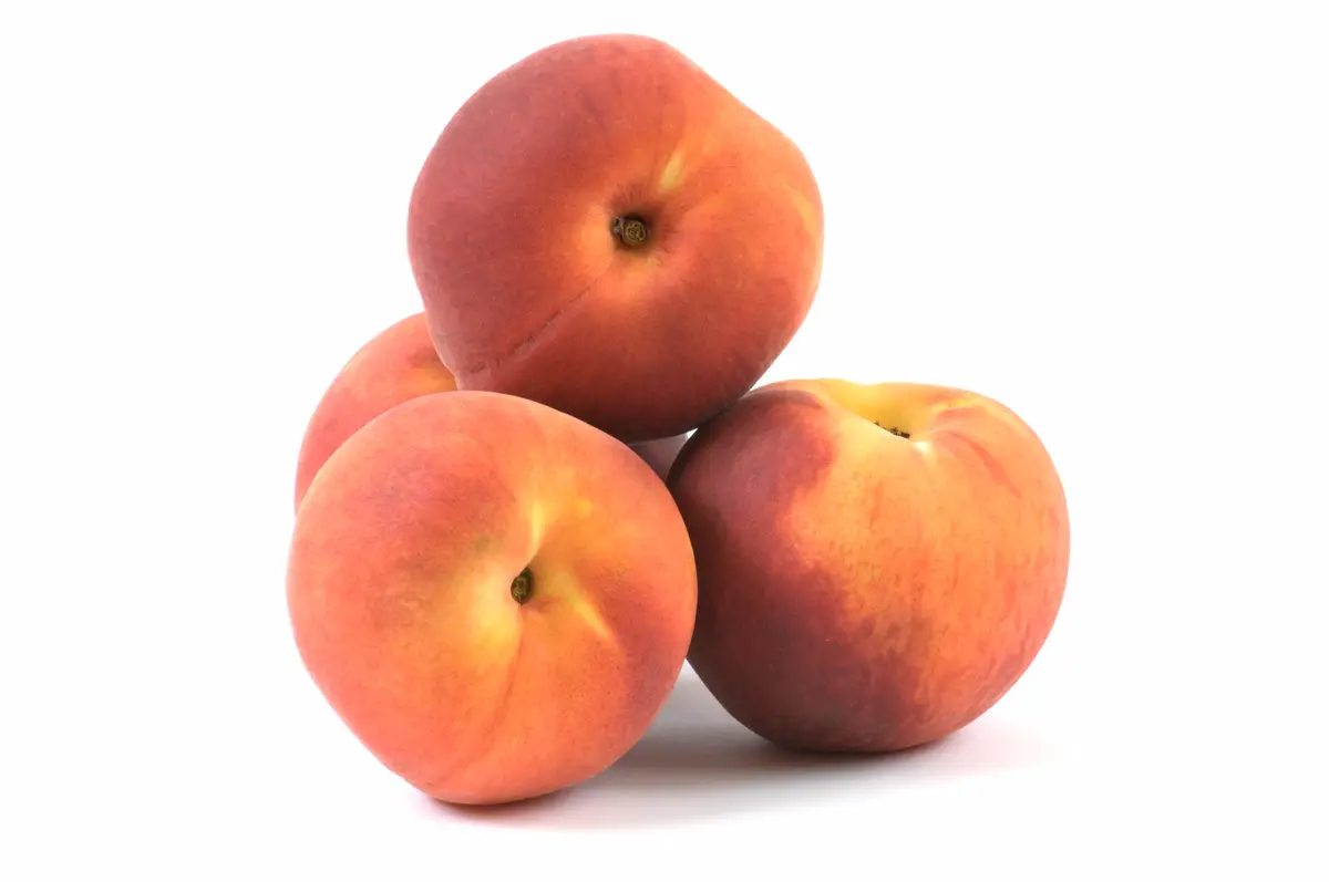 Elberta Peach Tree Elberta Peach Tree