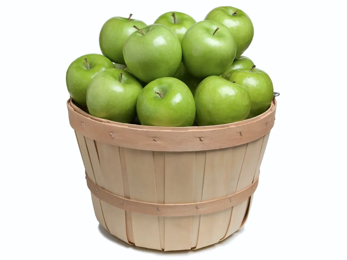 Dwarf Granny Smith Apple Tree Dwarf Granny Smith Apple Tree
