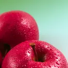 Fuji Apple Tree