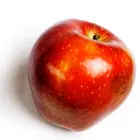 Fuji Apple Tree