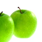 Dwarf Granny Smith Apple Tree