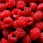 Heritage Raspberry Plant
