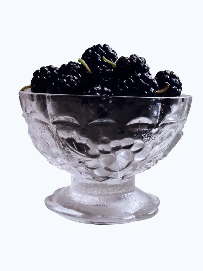 Persian Mulberry Tree