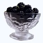 Persian Mulberry Tree
