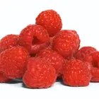 Joan J Raspberry Plant