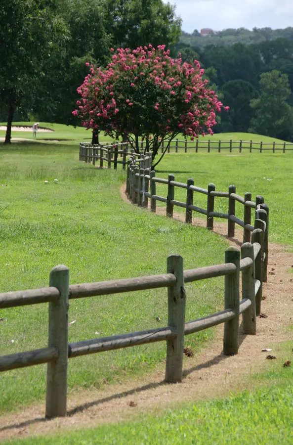 Choctaw Crepe Myrtle Choctaw Crepe Myrtle