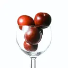 Burgundy Plum Tree