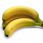 Gran Nain Banana Plant