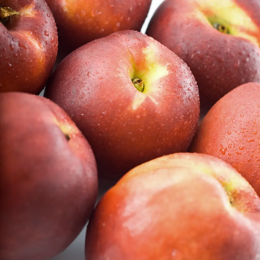 Sunred Nectarine Tree
