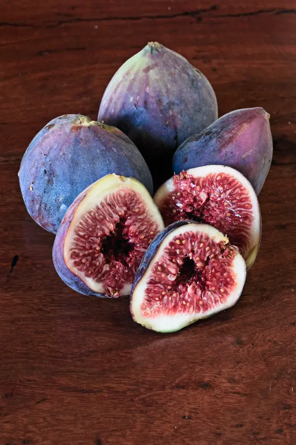 Italian Everbearing Fig Tree Italian Everbearing Fig Tree