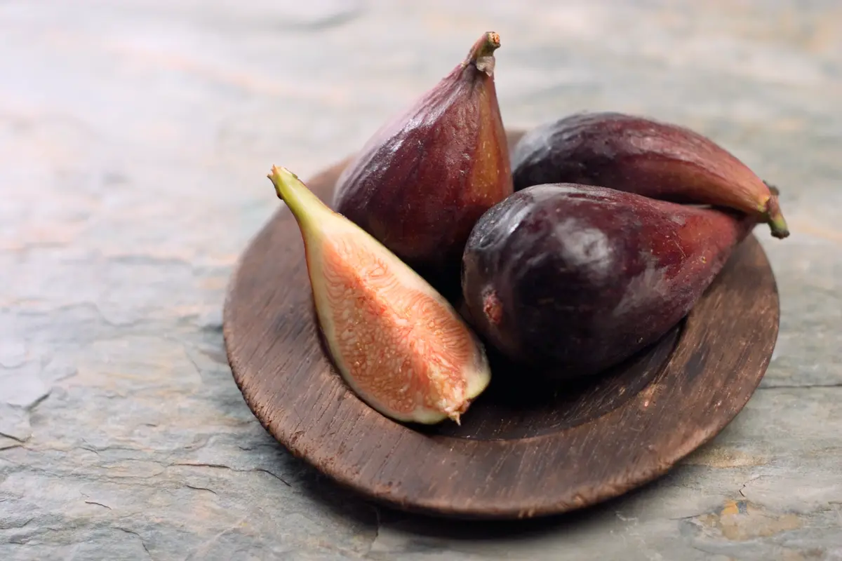 Black Mission Fig Tree Black Mission Fig Tree
