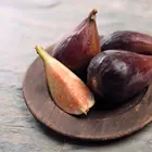 Black Mission Fig Tree