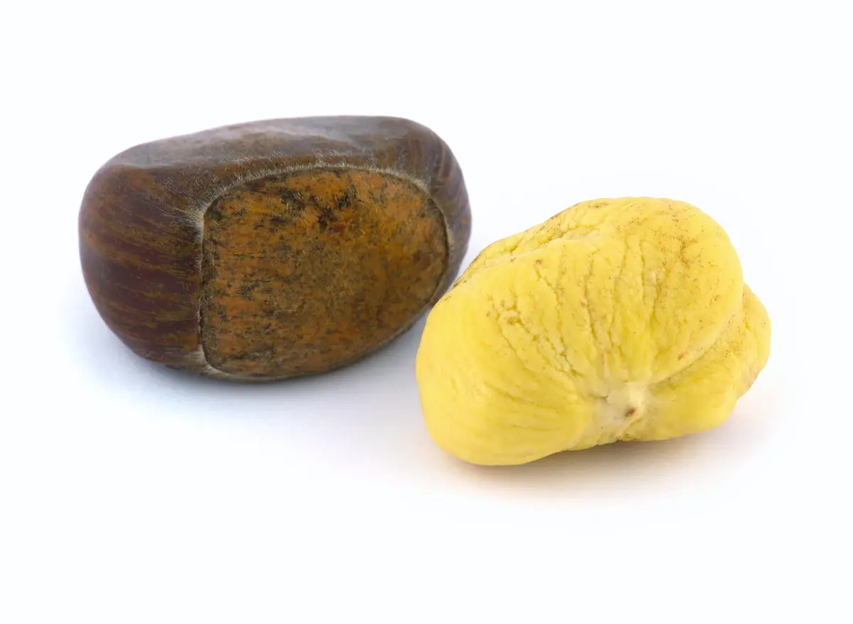 Chinese Chestnut Tree