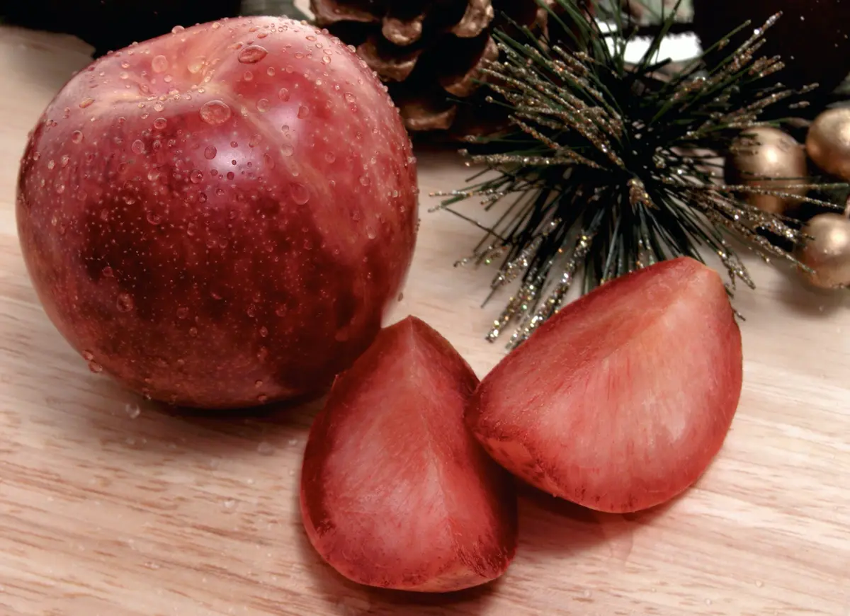 Plumcot Hybrid Plum Tree Plumcot Hybrid Plum Tree